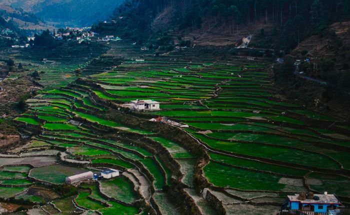 images/trending/Uttarakhand Tour Package 6 Nights 7 Days.jpg